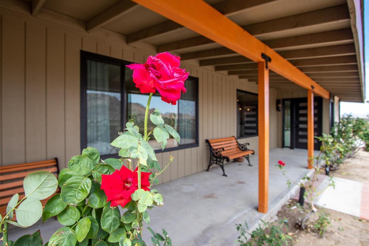 @ Marbella Lane - The Wine Mine Desert Escape Joshua Tree Ngoại thất bức ảnh