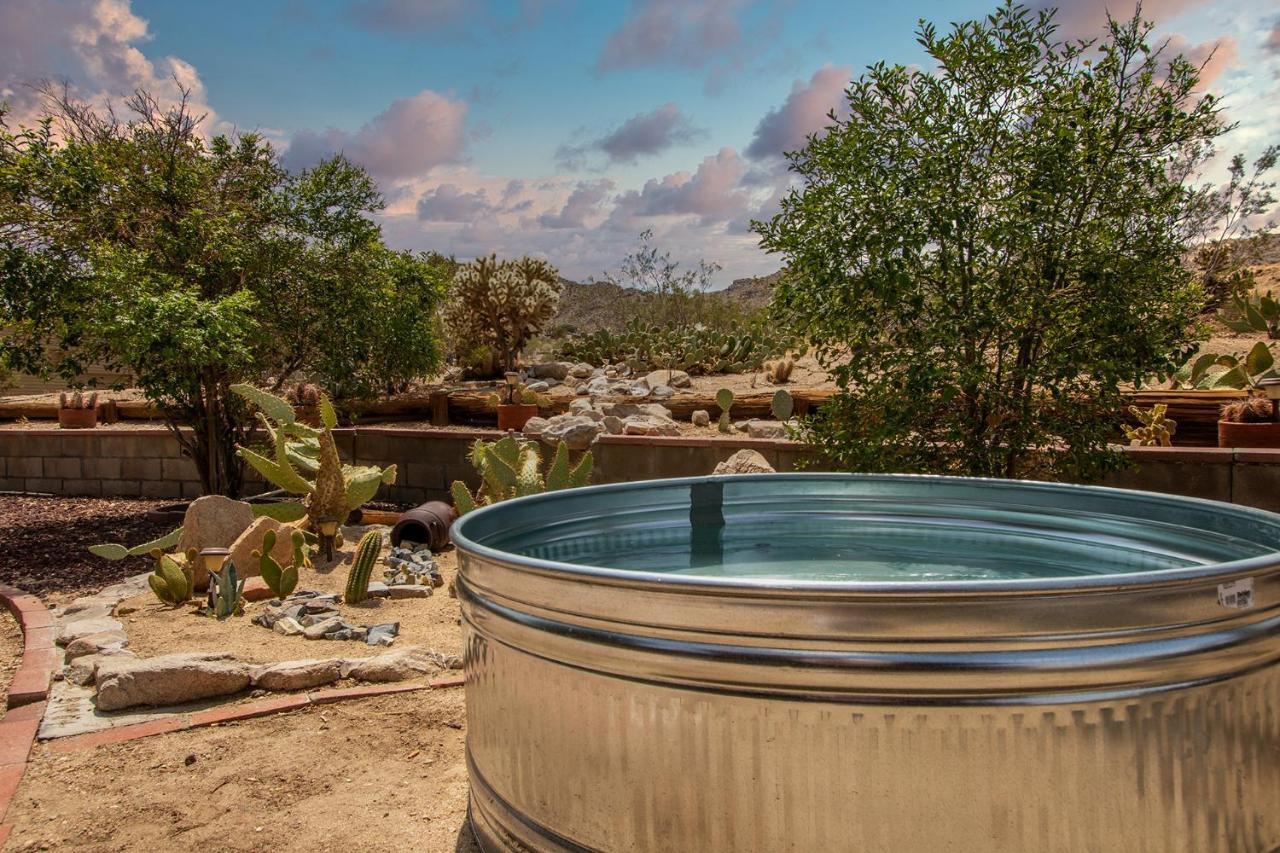 @ Marbella Lane - The Wine Mine Desert Escape Joshua Tree Ngoại thất bức ảnh